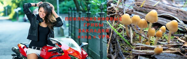 эйфоретик Алексин