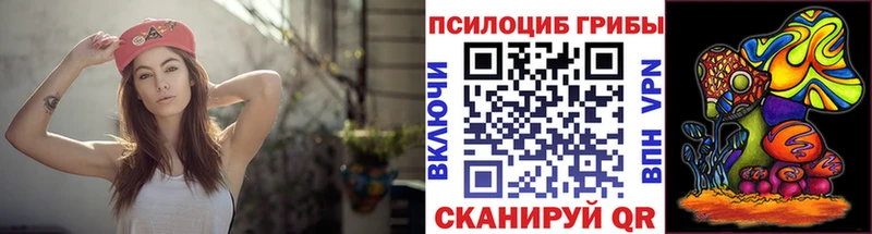 Галлюциногенные грибы ЛСД Дудинка